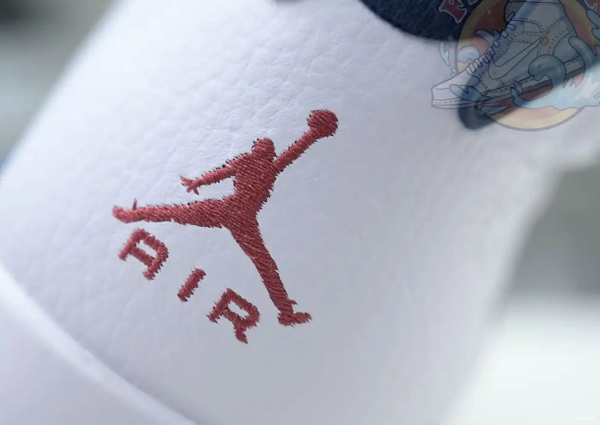 Air Jordan 6
